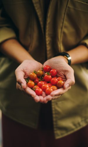 photo-of-person-holding-cherry-tomato-2817549